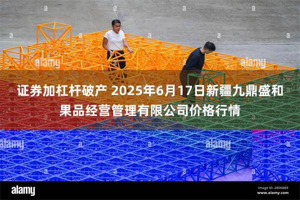 证券加杠杆破产 2025年6月17日新疆九鼎盛和果品经营管理有限公司价格行情